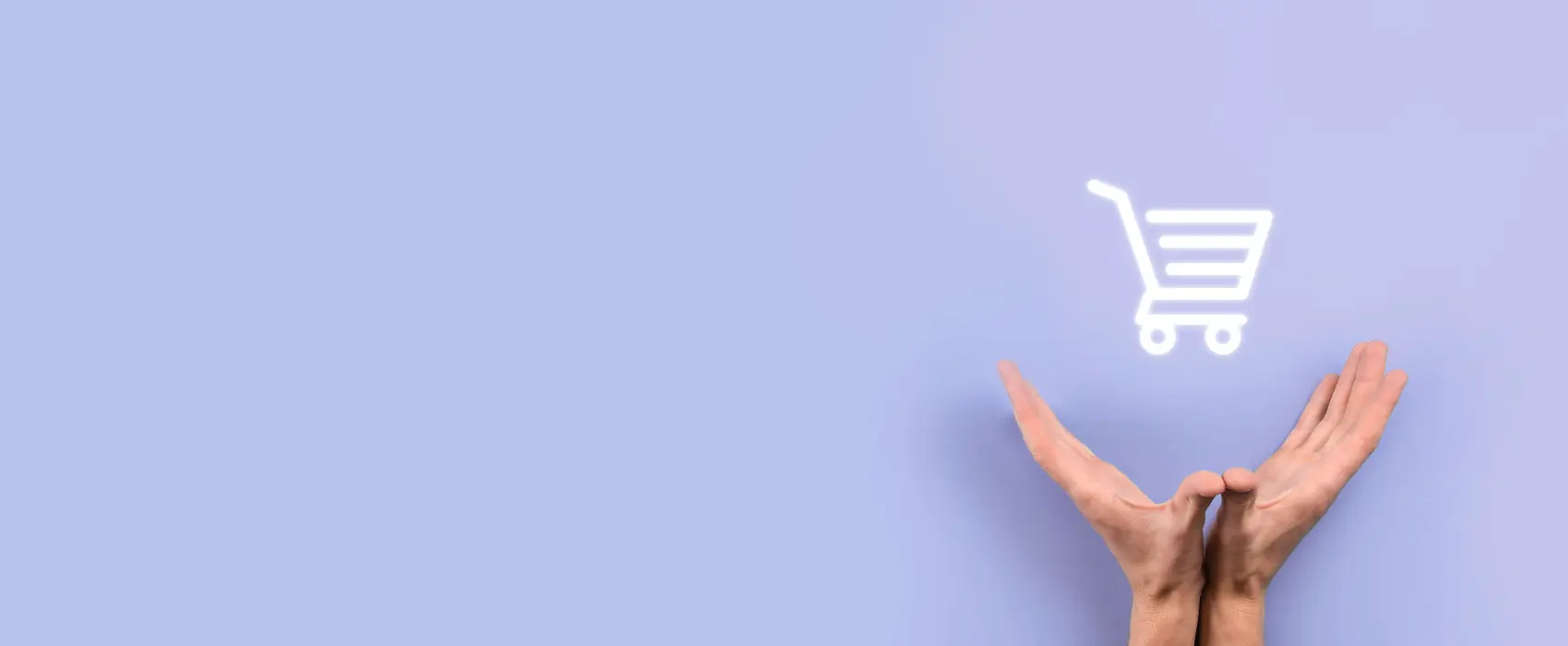 Realizare Magazin Online Digital Branding